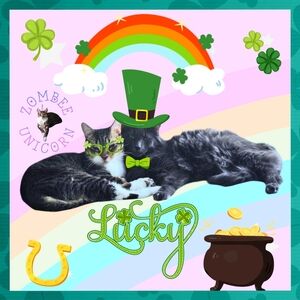 😻Gizmo & Smoke💘